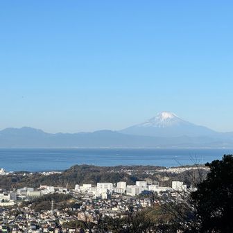 その代わりに下山途中の木の切れ間からバッチリ🗻