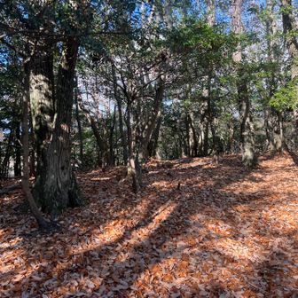 この辺も眺望なし