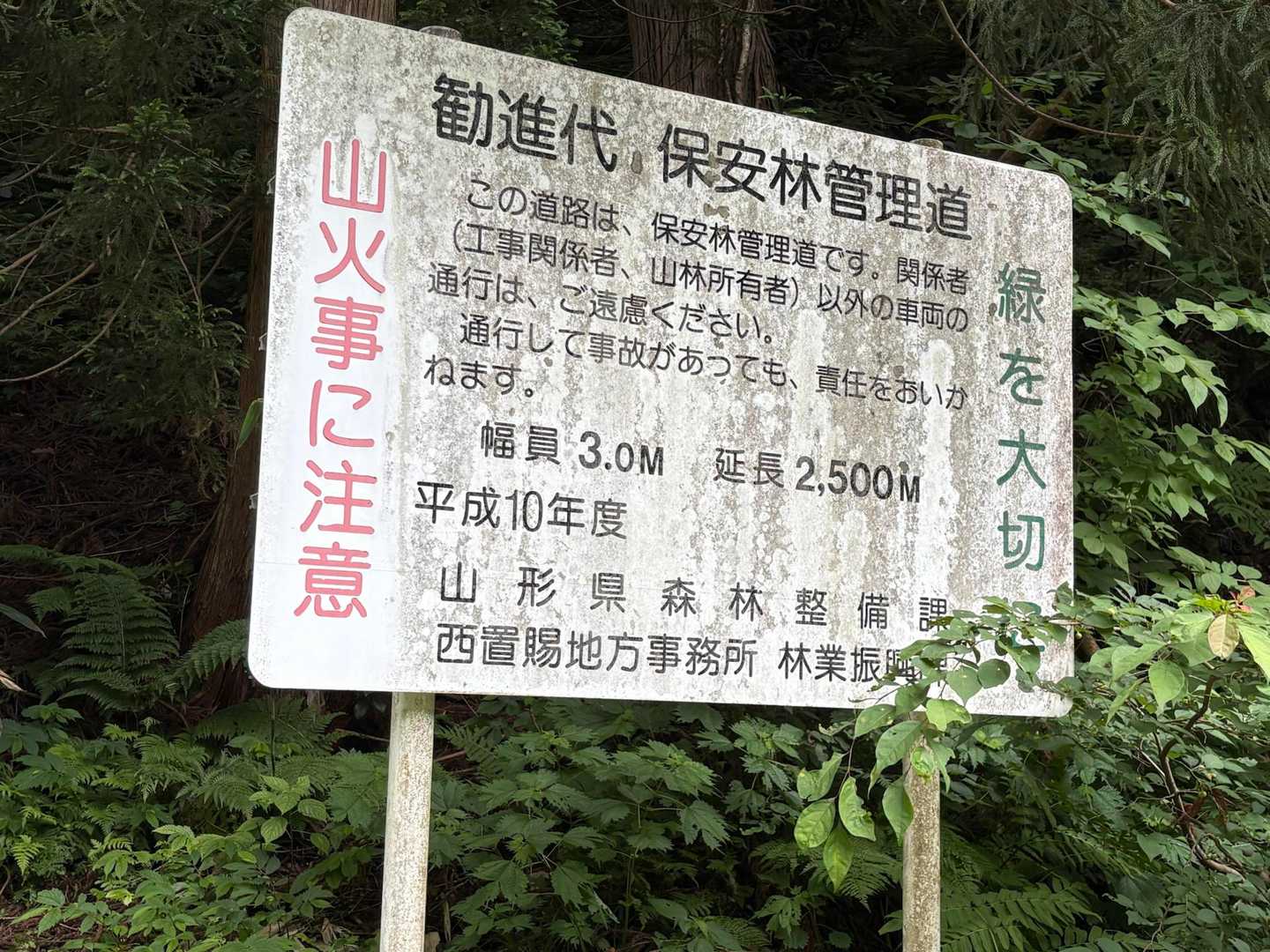 管理道 だったご様子