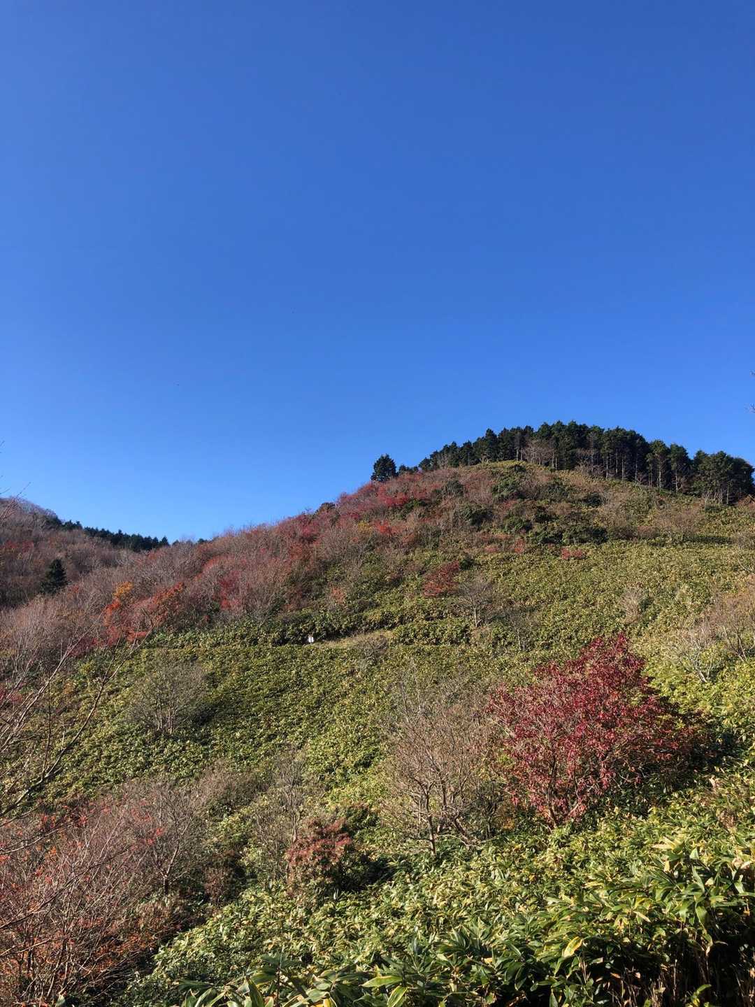 やっと稜線にでました😵