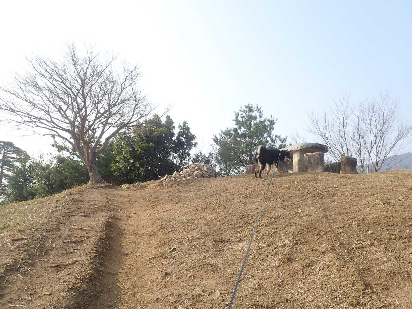 登頂