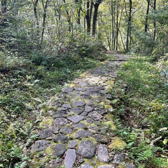 あとは石畳の道を下って