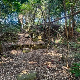 城跡
ﾋﾟｰｸでは無いけど標識があるって情報なんですが見つけられませんでした😢