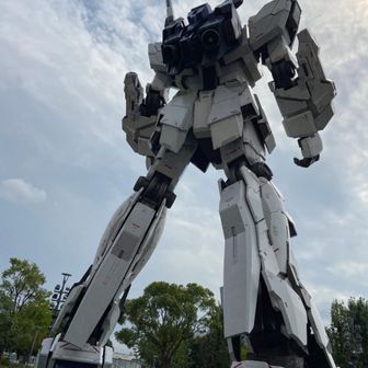 アカギ