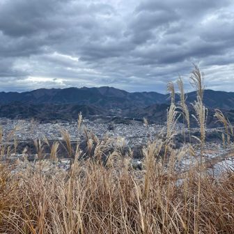 鶴島御前山から下界を眺めます