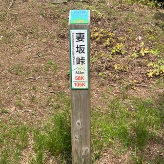 妻坂峠風が抜けて気持ち良い。。
ちょい休憩。