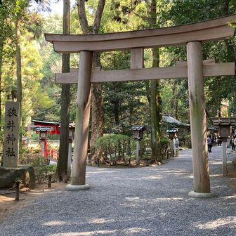 狭井神社へ通じる鳥居②。縦Ver.