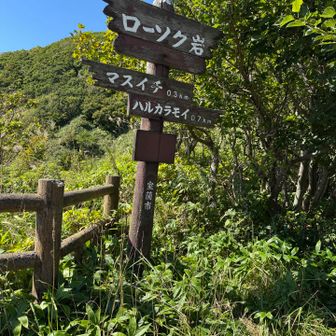 ボンズ山はこの脇道から登ります。