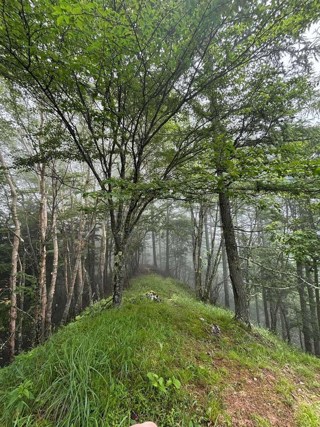 山頂は涼しくて汗が冷えて寒くなってきました