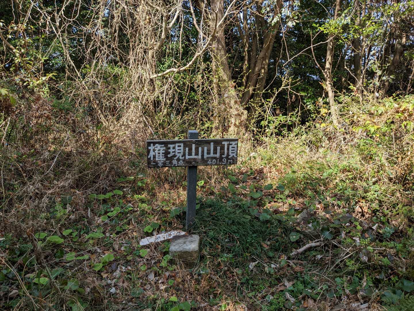 やはり山頂からの景観はありませんでした。
