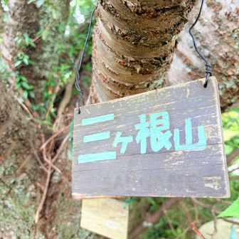 看板が重なってる