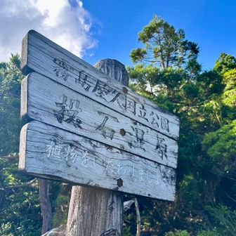 投石湿原
この辺り、ちょっと迷い易いです⚠️