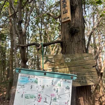 少し高くなって135m😂