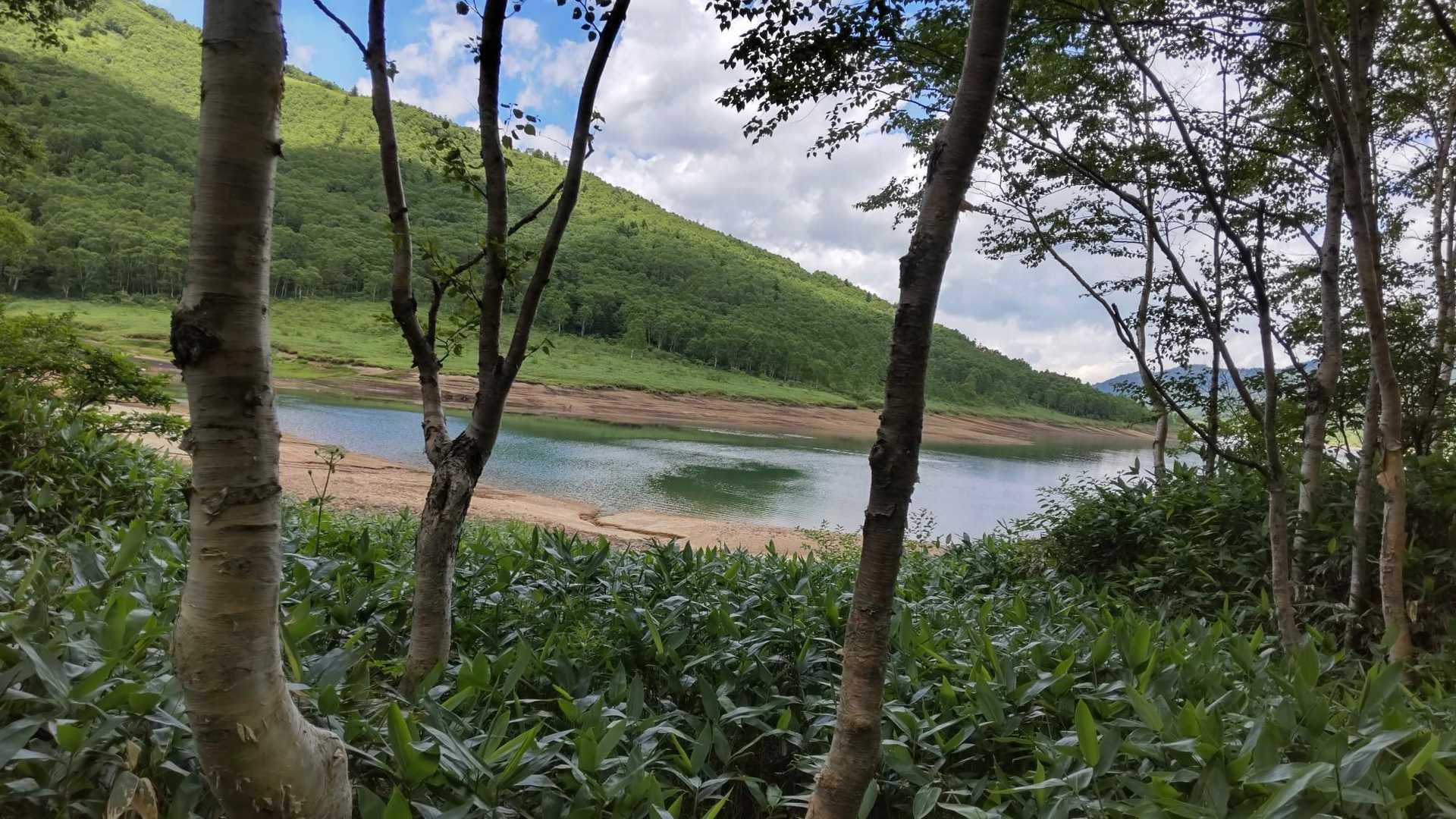 湖畔から
水が少ない❗️