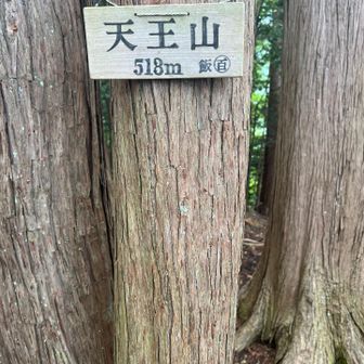 疲れず降りられるかな分かれ目だな。もう、
飽きてきたわよ。