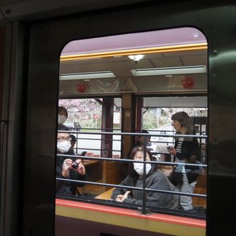 うわー、お客さんがいっぱい❗