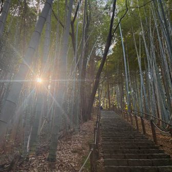 山頂までひたすらきれいな階段の道