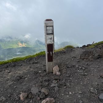 一歩一歩足を進めて
コマクサ咲いているなと遠目に眺めることで精一杯