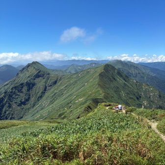 この辺りまで来ると山の景色が最高⤴️
疲れていても気分は⤴️
