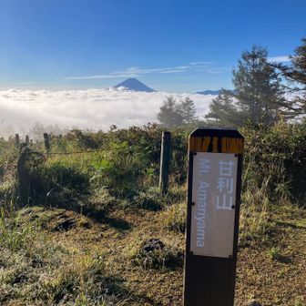 縦撮りバージョン🗻