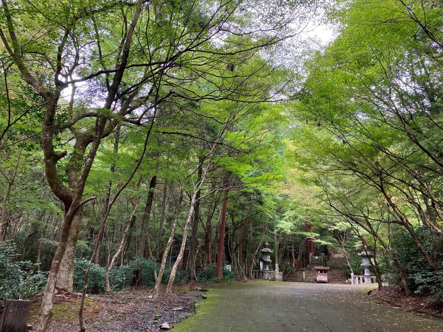 しばらくぶりの登山なので軽めに