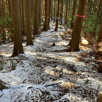 次、南猪子💚(σ´∀`)σｹﾞｯﾂ!!
に行くゾ