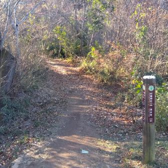 馬不入山へGO！