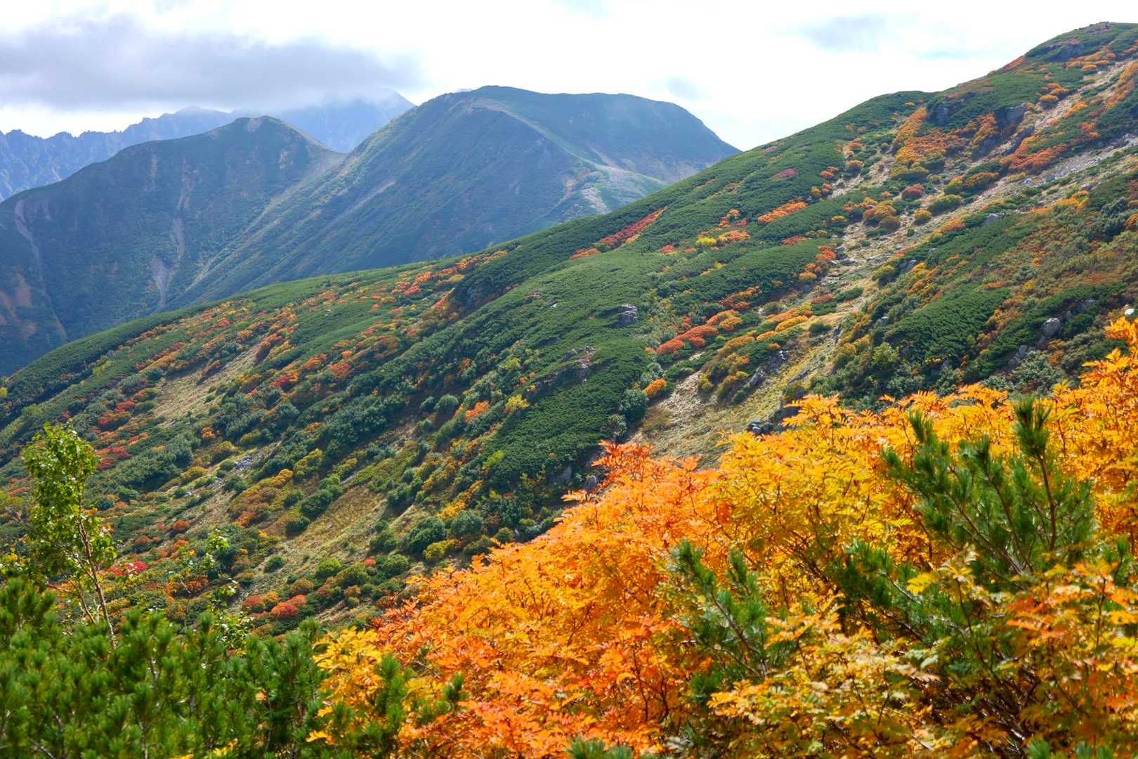 双六岳-丸山-三俣蓮華岳-鷲羽岳 周回コースの写真