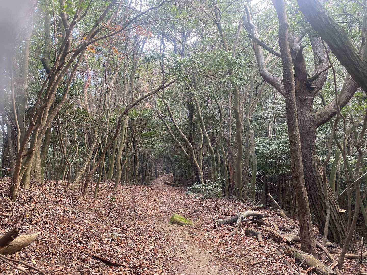 この雰囲気大好きです