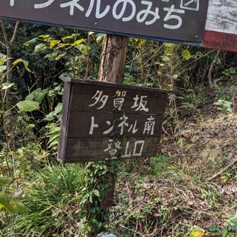 多賀坂のトンネルの南に出る道！