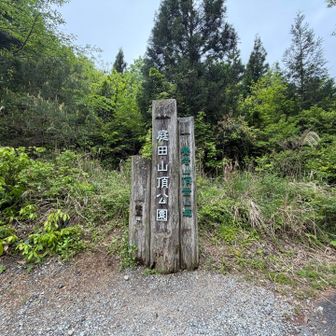 ロードバイク乗りにはお馴染みの二ノ瀬