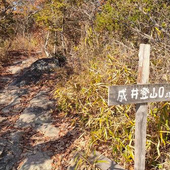 成井方面への分岐