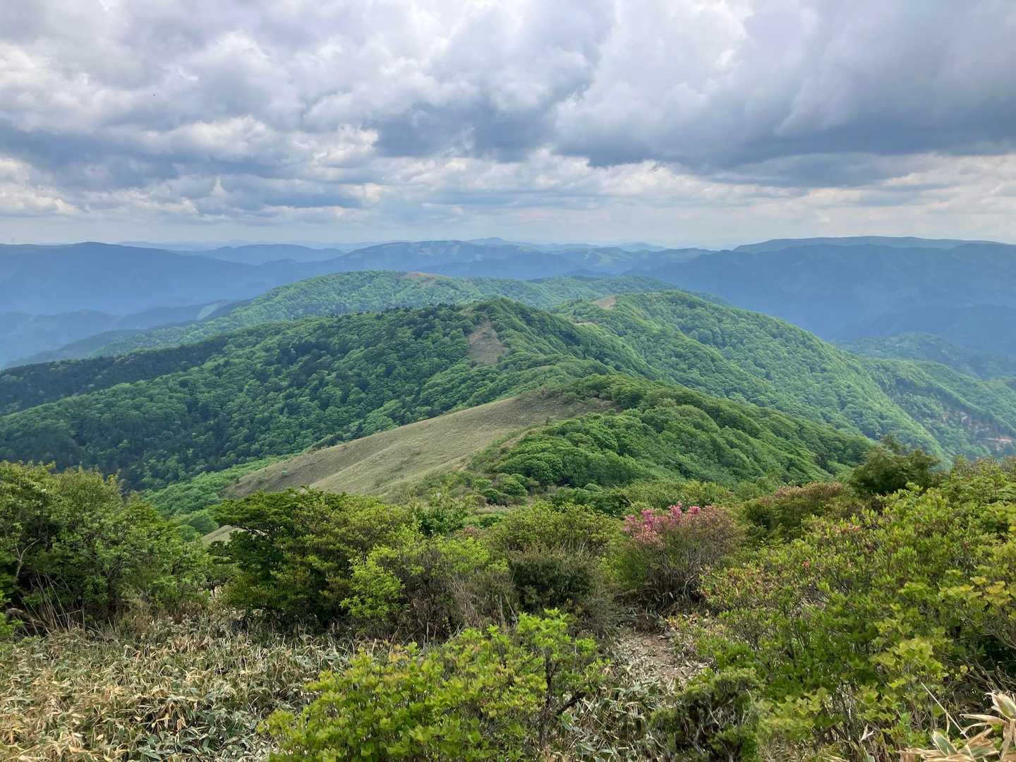 大川嶺-笠取山-ウバホド山登山口 往復コースの写真