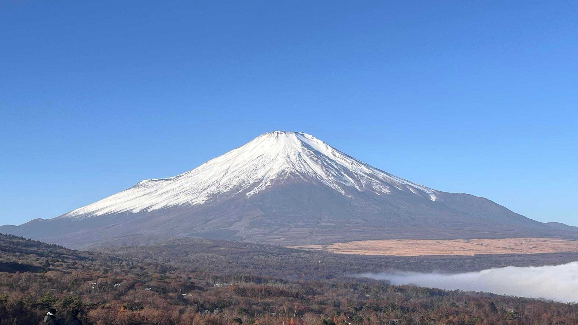 籠坂峠バス停-アザミ平-大洞山-楢木山-三国山-三国峠-鉄 縦走コースの写真