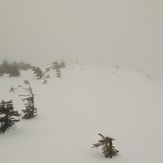 西大巓に向けて。かなりガスってきた