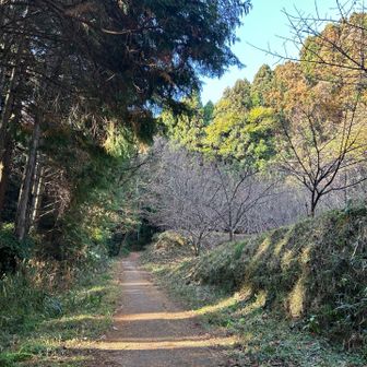 さぁ、登っていきまーす