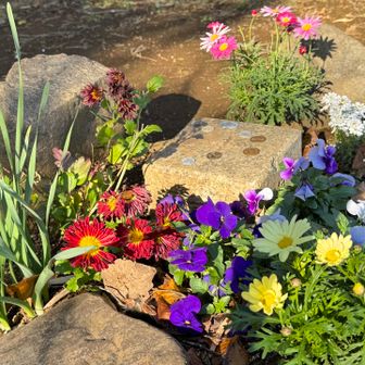 　同名の一等三角点（207.57m）。
　パンジーやマーガレット、スプレーギク、アリッサムなどの花々に彩られた華やかな三角点。