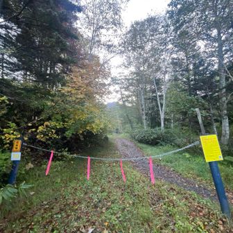 気温は1度
寒いです、手袋ないとかじかむレベル