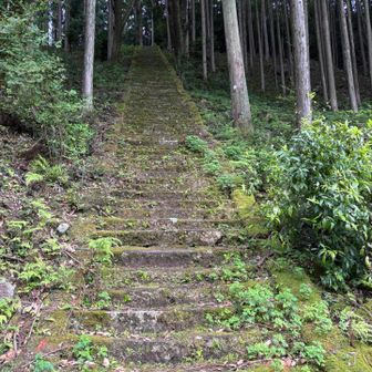 げざーん
