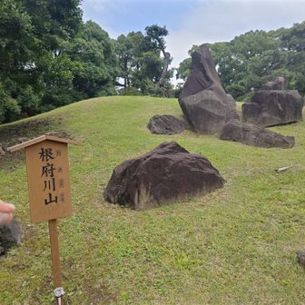 盛り土の上に岩稜帯🫪