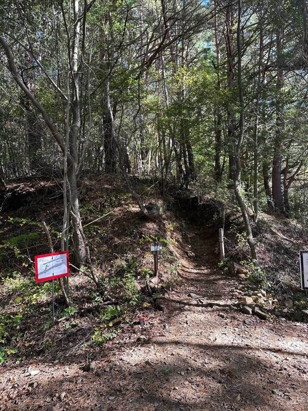 林道を横切って、さらに登ります。