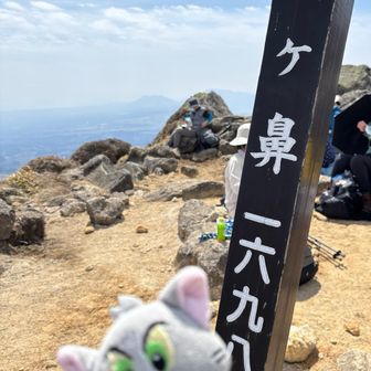 おうぎがはな登頂！
山頂賑わってました