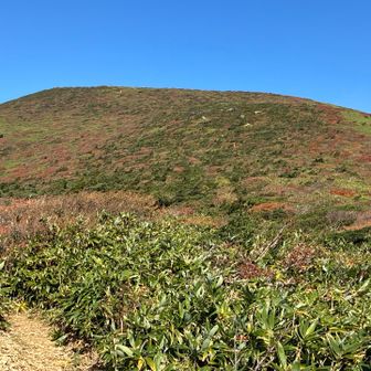 快晴で気持ち良い