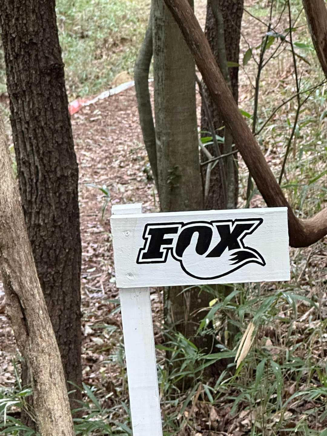 キツネには会えず…🦊