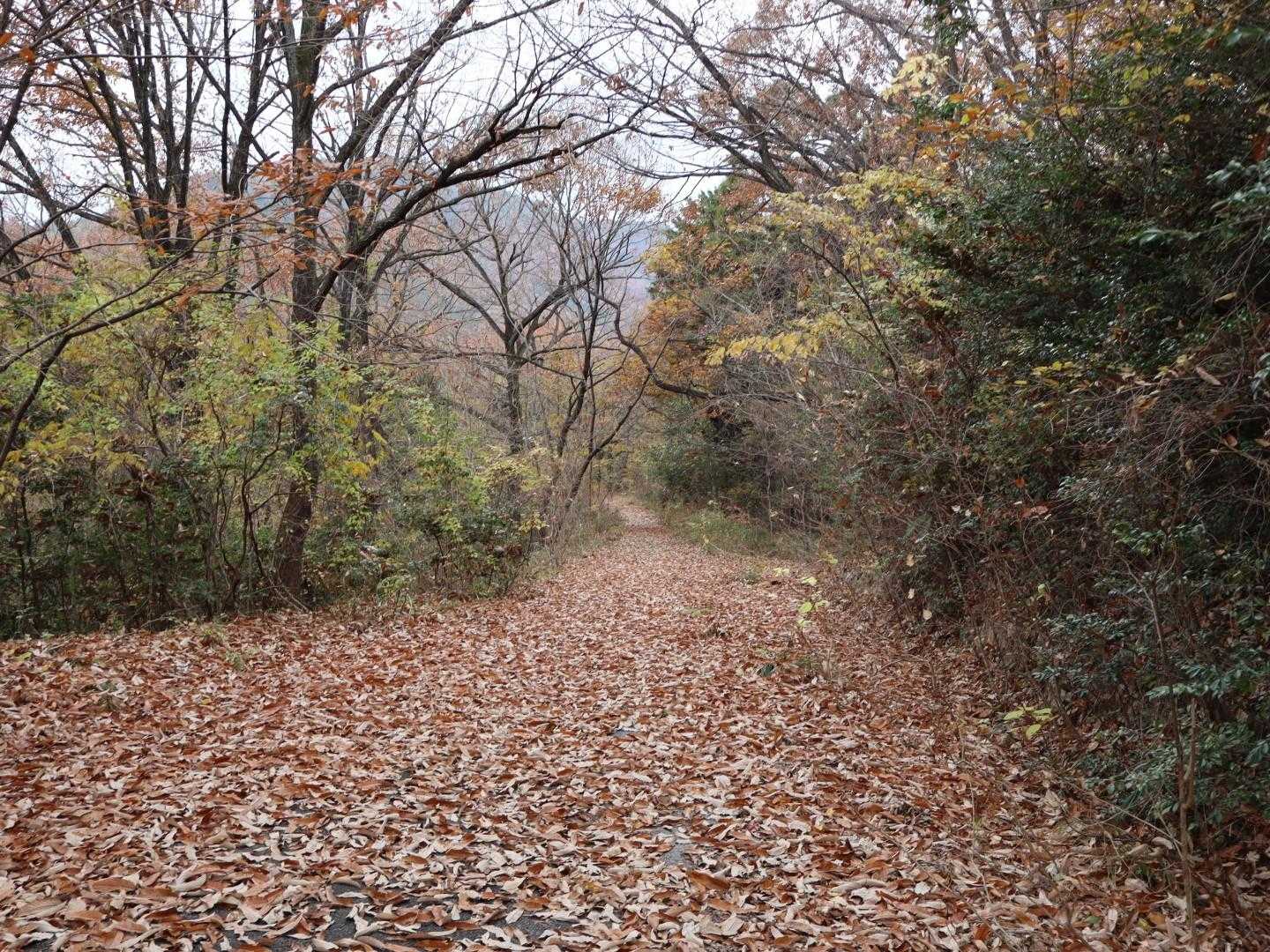 槍どんぐり山 往復コースの写真