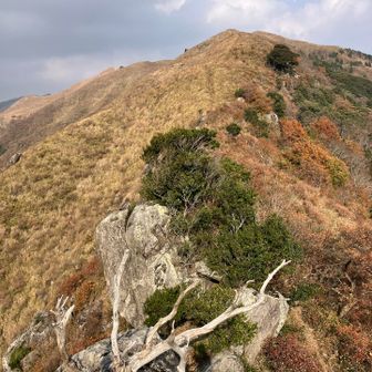 伝わらない高度感
登り甲斐があって楽しい岩