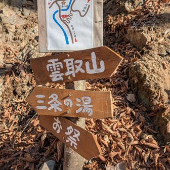 翌日はここから雲取山へ向かうよ