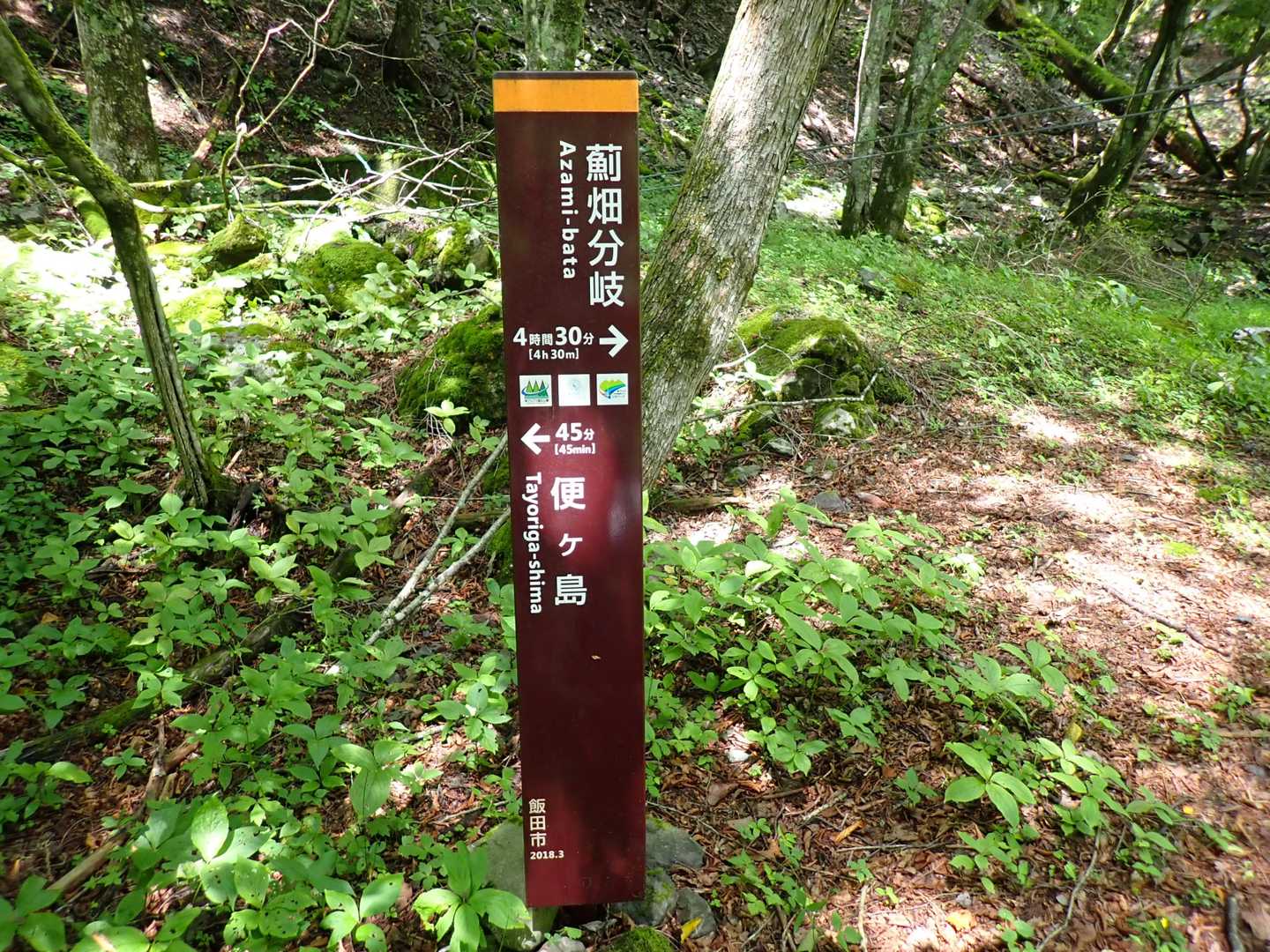 長ーい林道歩きの序章