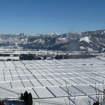 板感くっきりのホワイトチョコレートだね