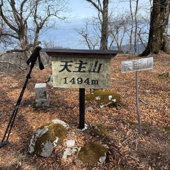 天主山に到着。広い山頂。